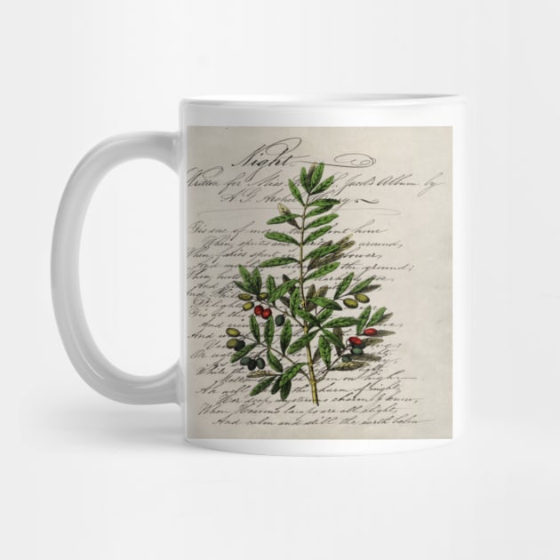 paris scripts kitchen artwork french botanical leaf olive by Tina